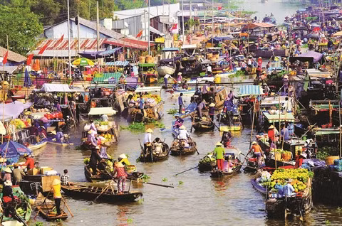 Le goût du Têt dans le delta du Mékong ảnh 3