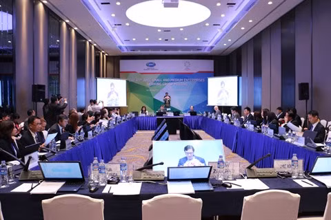 APEC 2017 : les PME sont appelées à progresser dans la bonne direction ảnh 2