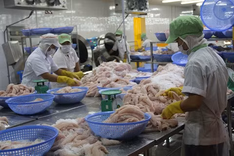 Les exportations de poissons Tra ciblent 2,4 milliards de dollars ảnh 1