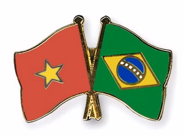Le Brésil et le Vietnam conjuguent leurs efforts pour resserrer les relations bilatérales ảnh 1