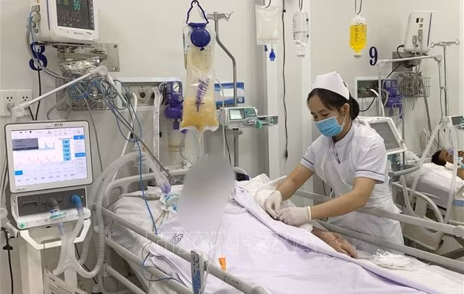 Les antitoxines offertes par l’OMS contre le botulisme arrivent au Vietnam ảnh 1