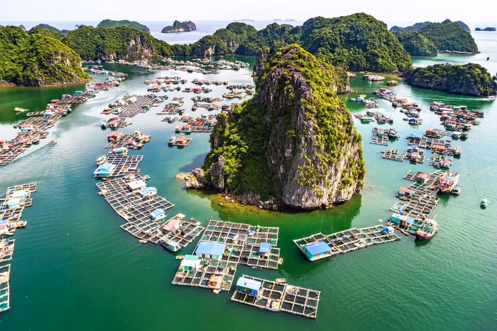 Des destinations prisées au Vietnam attirent les touristes ảnh 1 Des destinations prisées au Vietnam attirent les touristes ảnh 1
