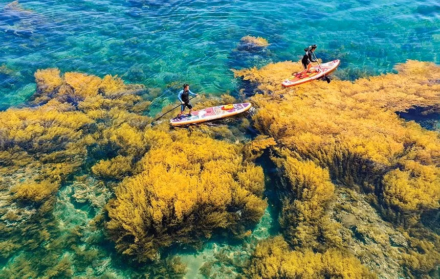 Nécessité de développer le tourisme maritime et insulaire ảnh 1