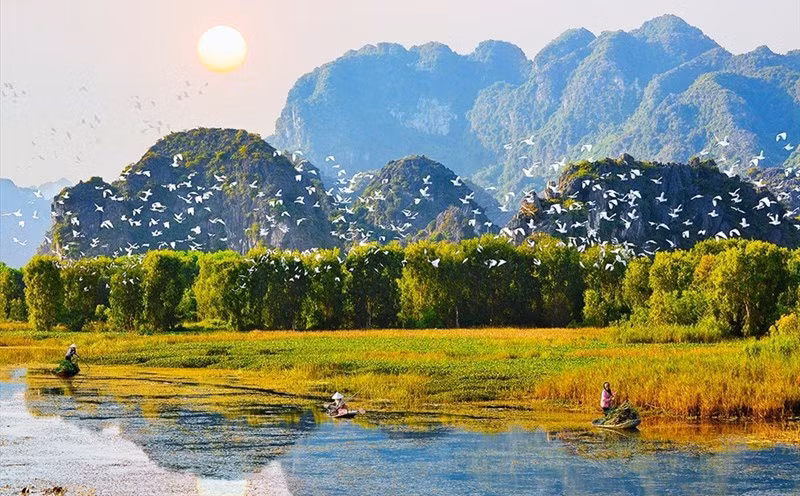 Conservation et utilisation durables des zones humides au Vietnam ảnh 1