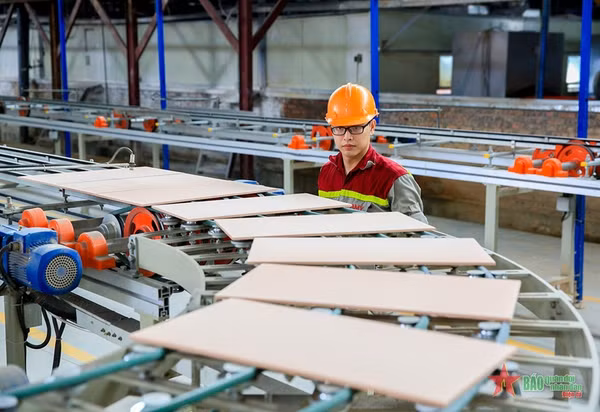 L'engagement du secteur privé est nécessaire pour promouvoir la croissance verte au Vietnam ảnh 2 L'engagement du secteur privé est nécessaire pour promouvoir la croissance verte au Vietnam ảnh 2