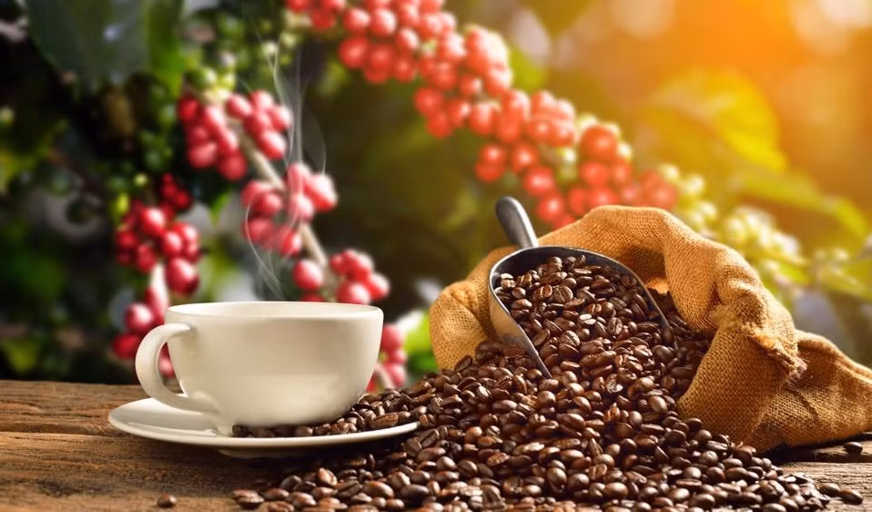 Hausse du prix du café ảnh 1