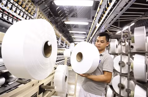 Le Parti pilote le développement socio-économique ảnh 2