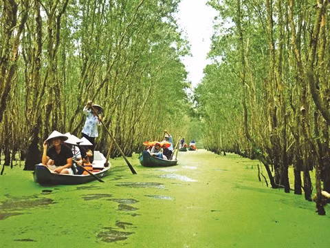 Trà Su : bienvenue dans le paradis vert ! ảnh 1