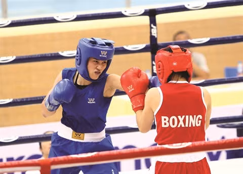 Des rings internationaux pour la boxe vietnamienne ảnh 1 Des rings internationaux pour la boxe vietnamienne ảnh 1