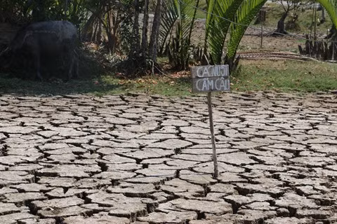 Le delta du Mékong lutte contre la sécheresse et la salinisation ảnh 1