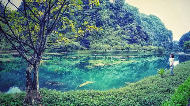 Ninh Binh: le tourisme dans les cavernes au cœur du patrimoine mondial ảnh 1 Ninh Binh: le tourisme dans les cavernes au cœur du patrimoine mondial ảnh 1