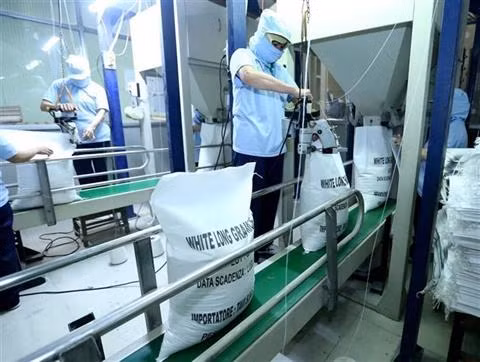 Perspectives pour le riz vietnamien en Chine ảnh 1