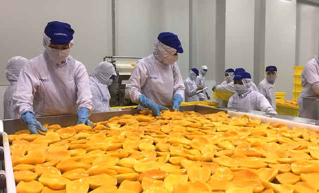 Hô Chi Minh-Ville: les exportations s'établissent à plus de 6 milliards de dollars en 2 mois ảnh 1