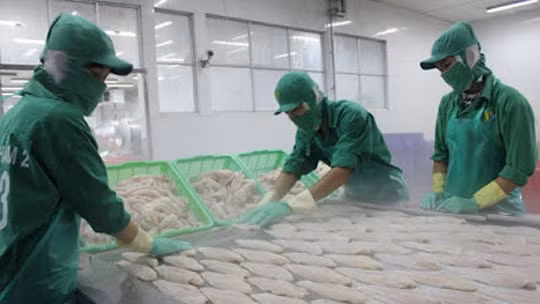 Les exportations de pangasius vers le Royaume-Uni augmentent de 70% ảnh 1