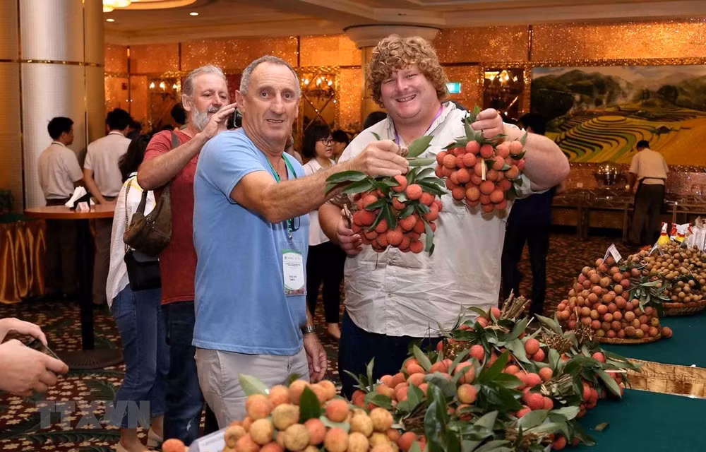Partage d'expériences dans la transformation de produits à partir de longanes et de litchis ảnh 1
