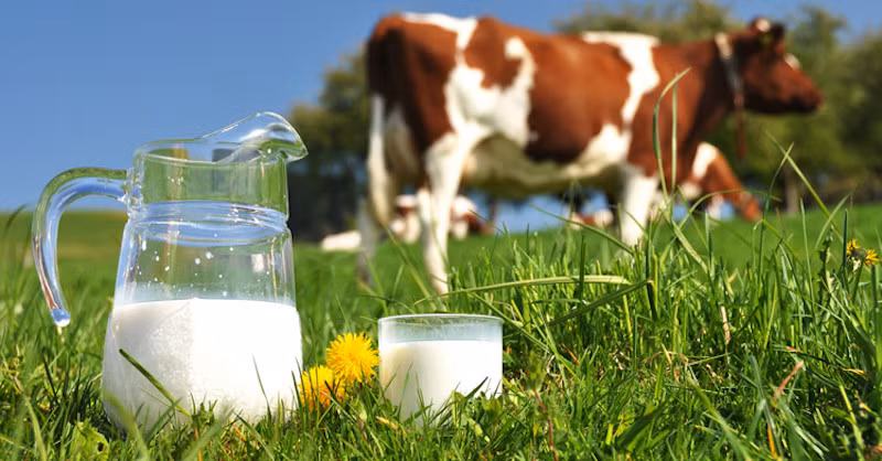 Vietnam Dairy : bientôt la 2e édition à Hô Chi Minh-Ville ảnh 1