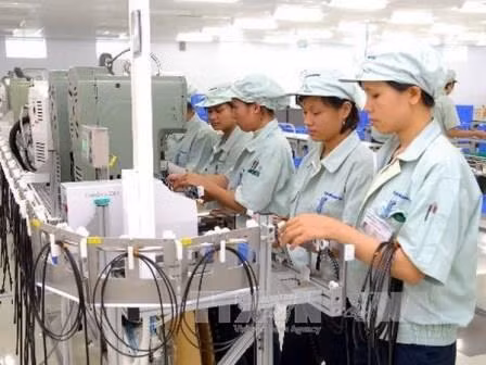 Hô Chi Minh-Ville: près de 1.900 entreprises créées à la mi-janvier ảnh 1