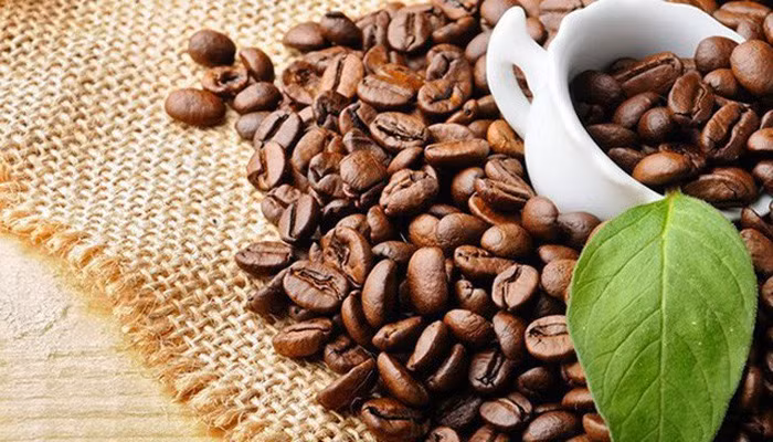 Elever la valeur ajoutée du café du Vietnam ảnh 1