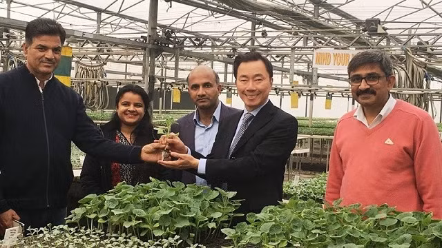 Vietnam - Inde : Riches potentiels de coopération dans l’agriculture ảnh 1
