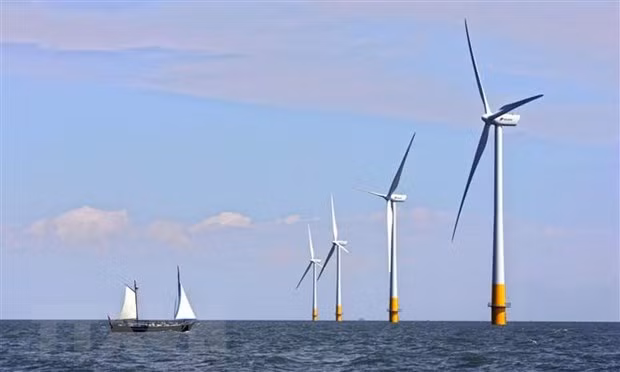 Le Vietnam devient le marché solaire le plus en vogue en Asie du Sud-Est ảnh 1