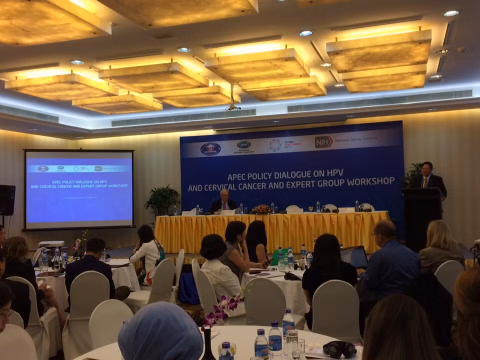 APEC 2017 : le programme de la 8e journée de la SOM3 ảnh 1