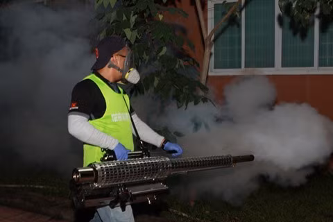 La dengue recule à Hô Chi Minh-Ville ảnh 1 La dengue recule à Hô Chi Minh-Ville ảnh 1