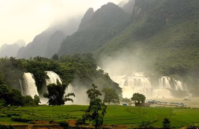Des plans pour développer le tourisme à la cascade de Ban Gioc ảnh 1