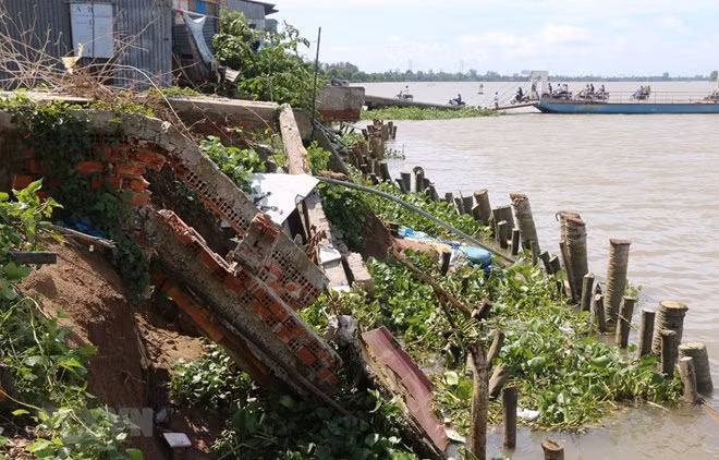 Plus de 6.000 ménages de Dong Thap doivent être relogés ảnh 1