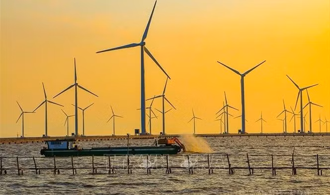 Séminaire sur le développement de l’éolien offshore ảnh 1