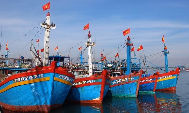 Le Vietnam vise 184 ports de pêche d’ici 2050 ảnh 1 Le Vietnam vise 184 ports de pêche d’ici 2050 ảnh 1