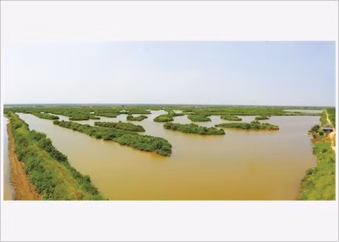 Voyager autrement au Parc national de Xuân Thuy ảnh 3
