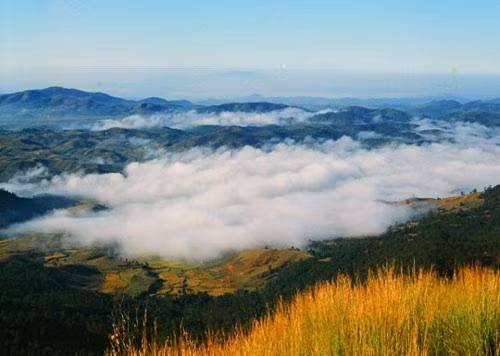A la découverte de la montagne Langbiang ảnh 1