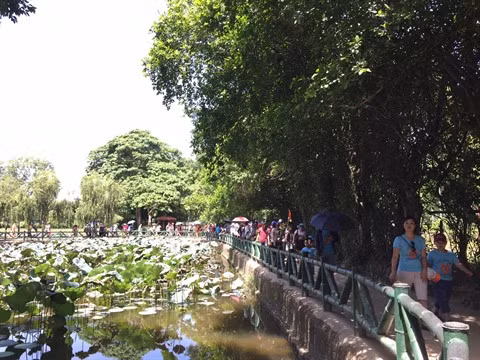 À la découverte du pays natal du Président Hô Chi Minh ảnh 1