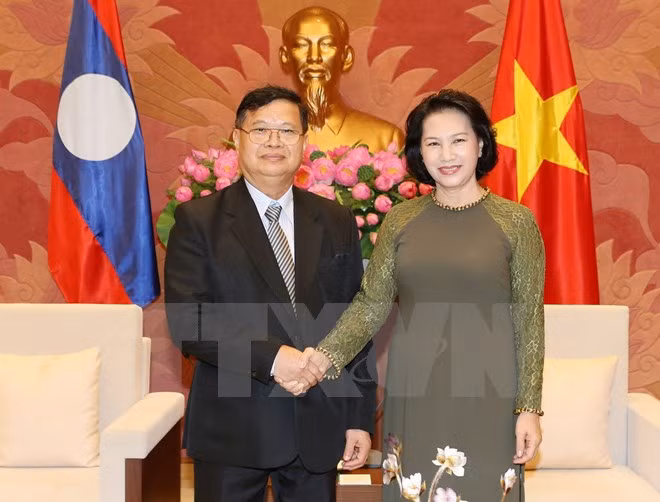 Renforcement des relations de coopération législative Vietnam-Laos ảnh 1