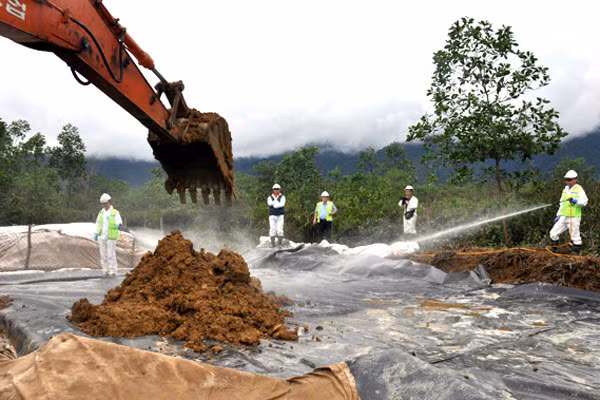 Décontamination de la dioxine par les micro-organismes ảnh 1 Décontamination de la dioxine par les micro-organismes ảnh 1