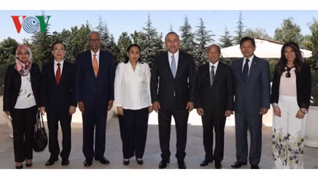 La Turquie renforce sa coopération avec les pays aséaniens ảnh 1