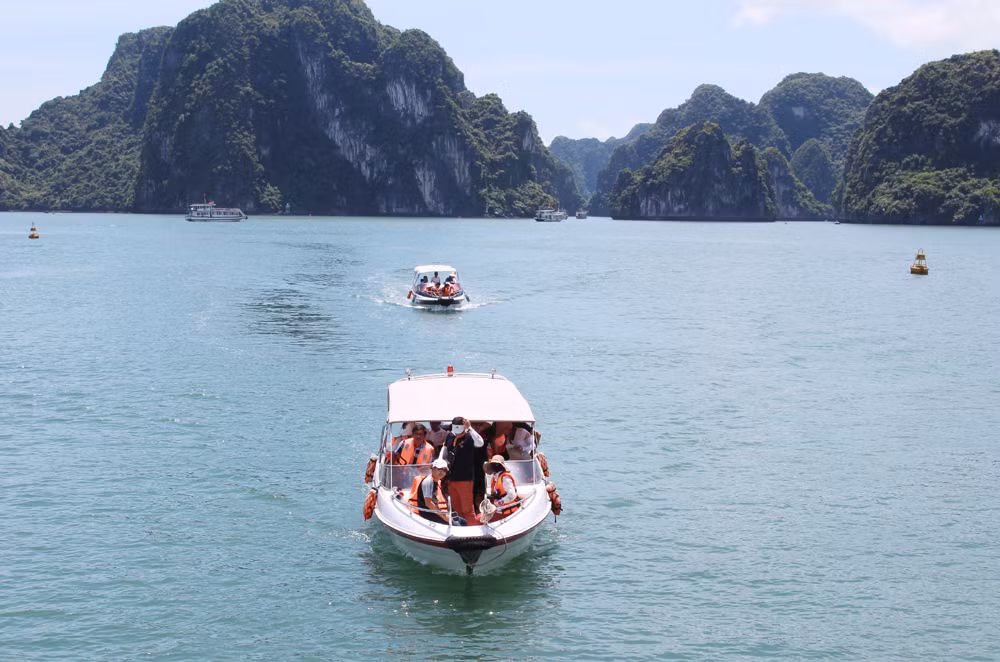 Fête des rois Hung : afflux de touristes en baie d'Ha Long ảnh 1