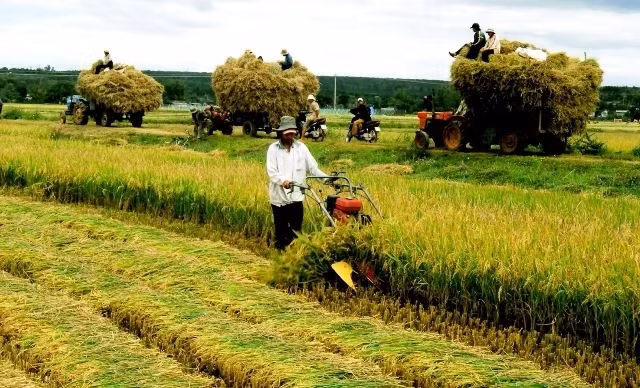 BM: L’économie vietnamienne reste stable malgré l'évolution mondiale ảnh 1