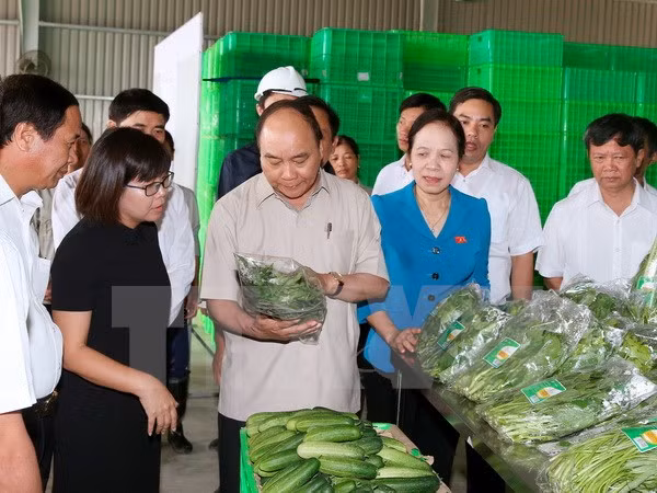 Le Premier ministre demande à Vinh Bao de développer l'agriculture high-tech ảnh 2