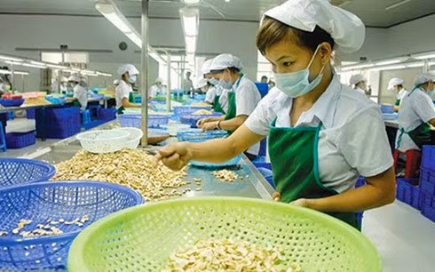 Nikkei : le secteur manufacturier remonte en septembre ảnh 1