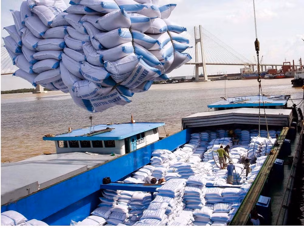 Les Etats-Unis optimiste quant aux exportations vietnamiennes de riz ảnh 1