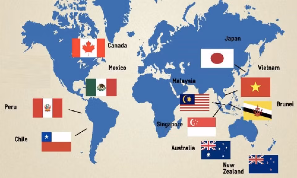 Le CPTPP face à des défis et opportunités ảnh 3