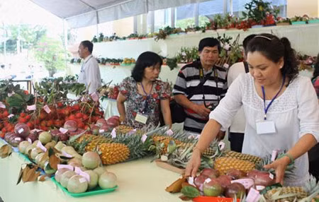Créer une place digne des fruits du Vietnam sur le marché mondial ảnh 2