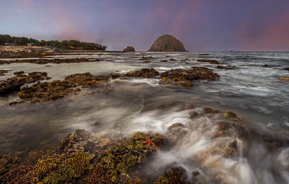 De magnifiques récifs de coraux sur la côte méridionale du Centre ảnh 2 De magnifiques récifs de coraux sur la côte méridionale du Centre ảnh 2