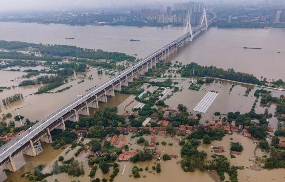 Développement durable: le Vietnam doit établir une feuille de route pour la "transition verte" ảnh 2 Développement durable: le Vietnam doit établir une feuille de route pour la "transition verte" ảnh 2