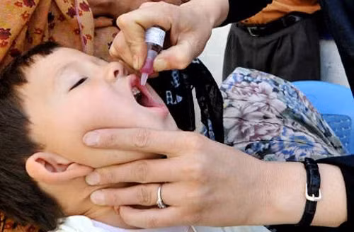 Le Vietnam inclura la vaccination antirotavirus dans son programme de vaccination élargi ảnh 1 Le Vietnam inclura la vaccination antirotavirus dans son programme de vaccination élargi ảnh 1