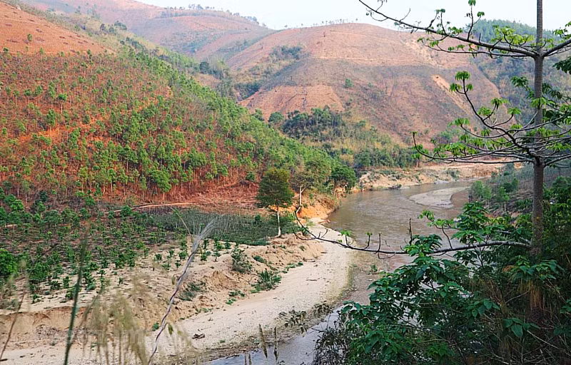 Le Vietnam compte plus de 1,2 million d'hectares de terres inexploitées ảnh 1