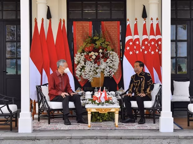 L’Indonésie et Singapour coopèrent sur la reprise économique ảnh 1