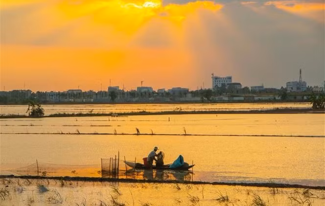 Mise en œuvre d’un projet de gestion des ressources naturelles dans le delta du Mékong ảnh 1