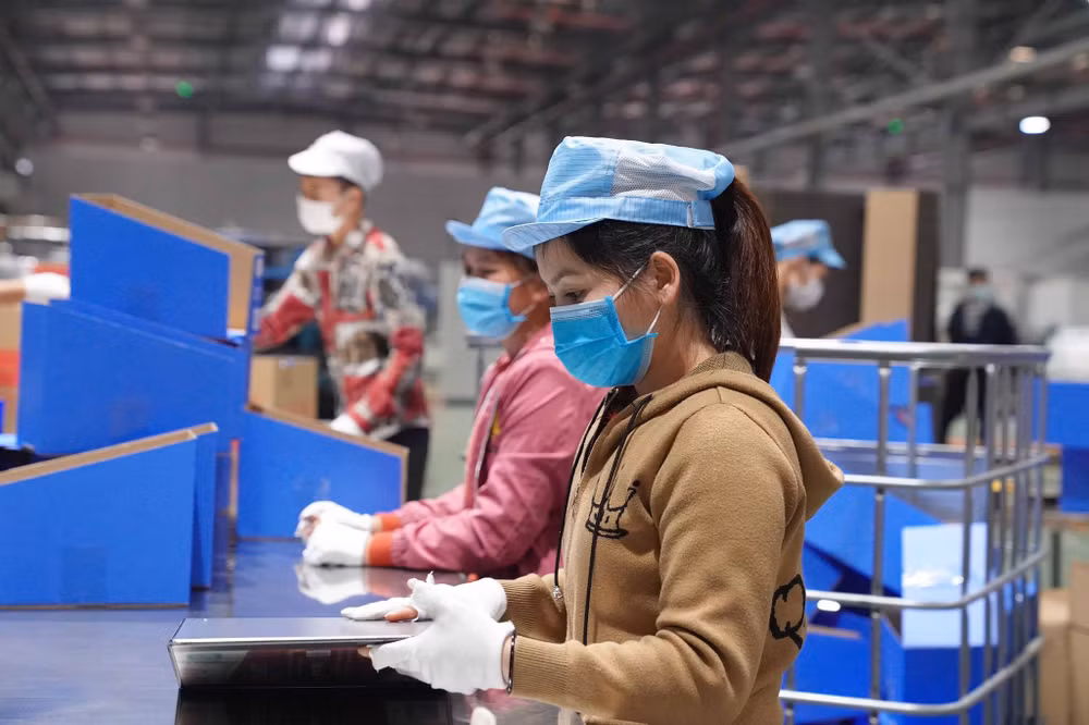 Les travailleurs vont disposer des relevés d'emploi électroniques ảnh 1